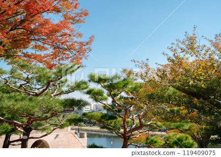 Jinjuseong Fortress and river at autumn in Jinju, Korea 119409075