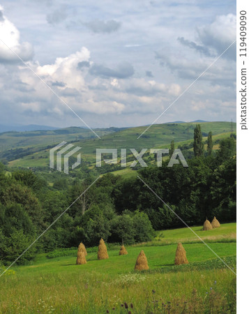 Piles of yellow hay on meadows on the slopes of green Carpathian mountains with clouds in the sky Piles of yellow hay on meadows on the slopes of green Carpathian mountains with clouds in the sky 119409090