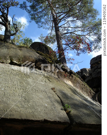 Pine tree on a rock with ancient graffiti and a bush Mountains Carpathians, Rocks of Dovbush Pine tree on a rock with ancient graffiti and a bush Mountains Carpathians, Rocks of Dovbush 119409162