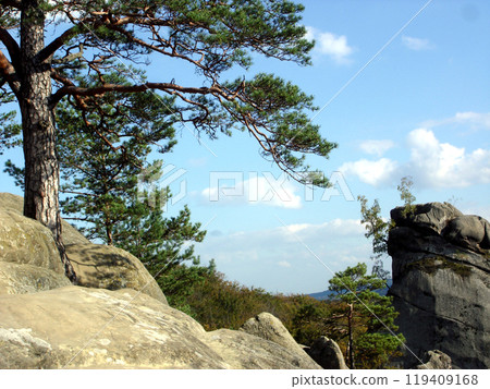 Rocks and stones with evergreen pines under the blue sky. Mountains Carpathians, Rocks of Dovbush Rocks and stones with evergreen pines under the blue sky. Mountains Carpathians, Rocks of Dovbush 119409168