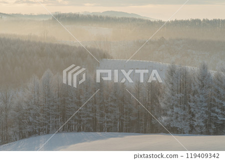 Winter in Hokkaido: Hoarfrost on the Hills Winter in Hokkaido: Hoarfrost on the Hills 119409342