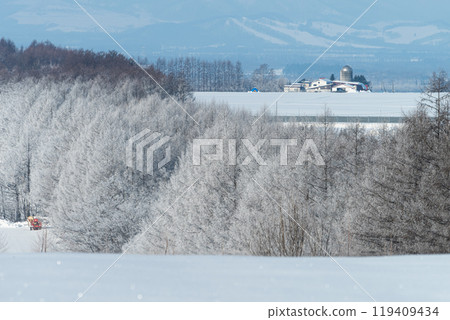 Winter in Hokkaido: Rural frost 119409434