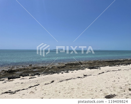 加勒比海和安靜的海灘 119409824