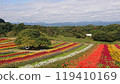 Colorful flowers 119410169
