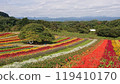 Colorful flowers 119410170