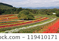 Colorful flowers 119410171