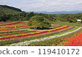 Colorful flowers 119410172