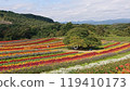 Colorful flowers 119410173
