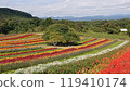 Colorful flowers 119410174