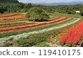 Colorful flowers 119410175