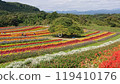 Colorful flowers 119410176