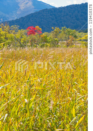 Ozegahara in autumn leaves Ozegahara in autumn leaves 119410378