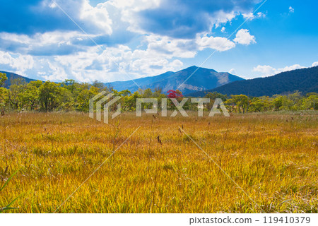 Ozegahara in autumn leaves Ozegahara in autumn leaves 119410379