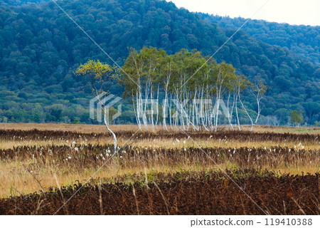 秋葉的尾澤原 秋葉的尾澤原 119410388