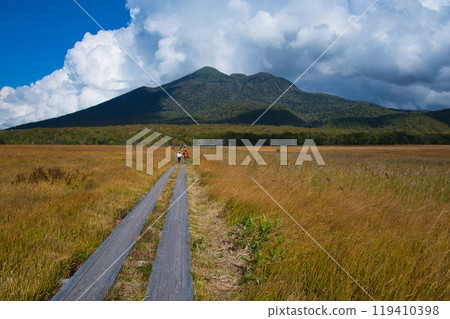 Ozegahara in autumn leaves 119410398