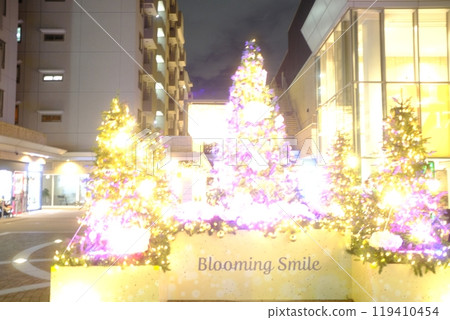 Night view of illumination 119410454