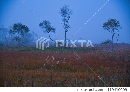 Ozegahara at dawn 119410609