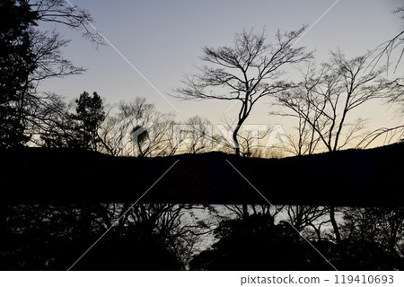 透過樹林看到的日落和湖泊 119410693