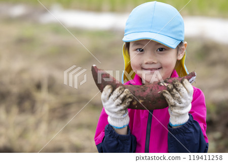 收紅薯的女孩 119411258