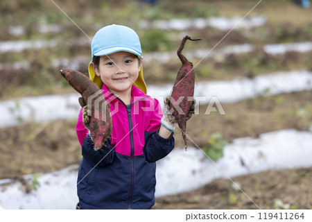 收紅薯的女孩 119411264