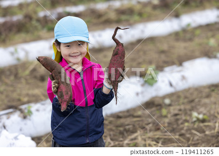 收紅薯的女孩 119411265