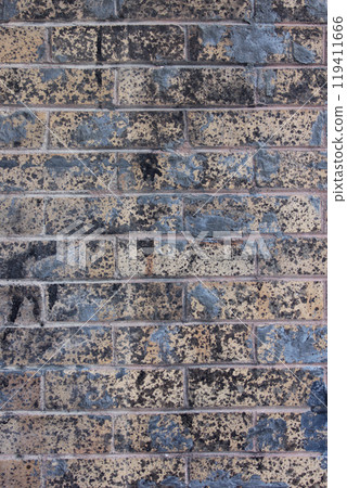 Close-up Building Detail Historical Brick Wall Located in Florence Texas Close-up Building Detail Historical Brick Wall Located in Florence Texas 119411666