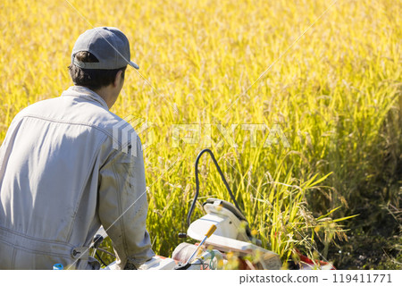 稻米收割圖片：一名男子使用手持稻米收割機收割水稻 119411771