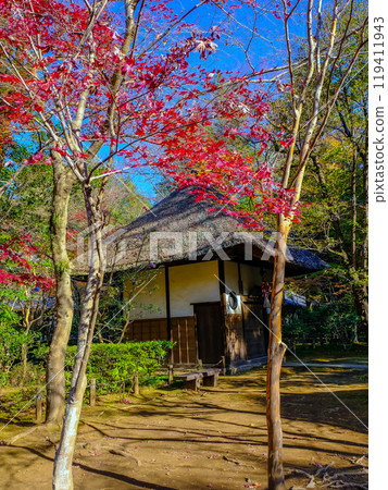 Autumn leaves and Daikei-do (vertical) 119411943