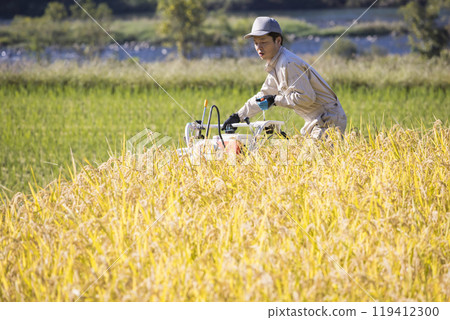 水稻收割形象：一名男子操作活頁夾並轉過彎 119412300