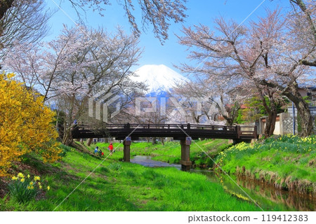 【山梨縣】忍野村的富士山和櫻花盛開 119412383