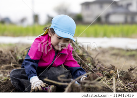 收紅薯的女孩 119412439