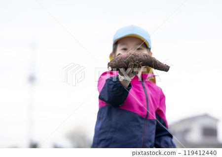 Girl harvesting sweet potatoes Girl harvesting sweet potatoes 119412440