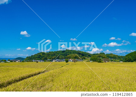 Mount Kaguyama, shining against the blue autumn sky in Kashihara City, Nara Prefecture 119412865