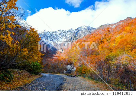 Machigazawa of autumn leaves 119412933
