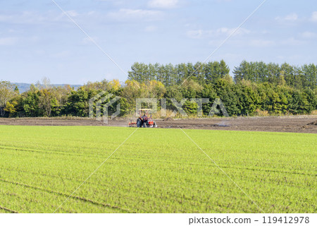 北海道帶廣市紅色拖拉機耕地 119412978