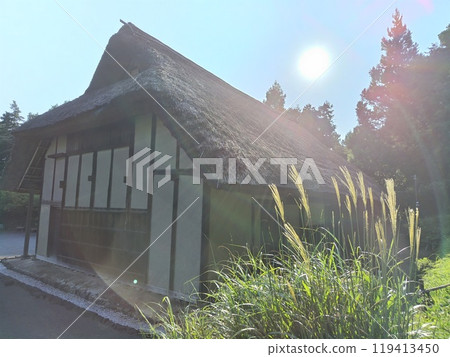 Susuki and the old private house 119413450