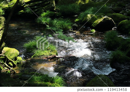 Otome Falls (Tochigi Prefecture) 119413458