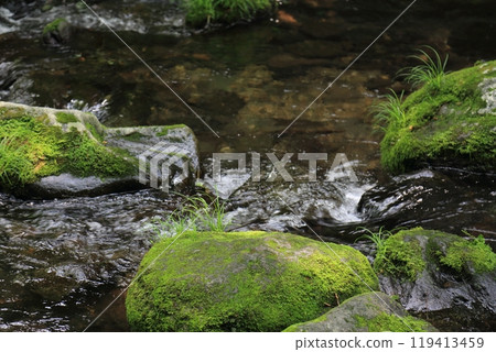 Otome Falls (Tochigi Prefecture) 119413459