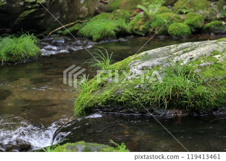 Otome Falls (Tochigi Prefecture) 119413461