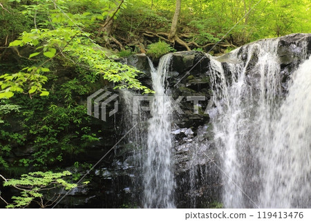 Otome Falls (Tochigi Prefecture) 119413476