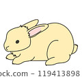 Usagi 01 119413898