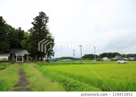 夏季稻田(福島縣) 夏季稻田(福島縣) 119413952