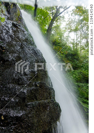 Heavy rains have increased the water flow at Kumoi Falls in the Oirase Gorge, creating a spectacular sight Heavy rains have increased the water flow at Kumoi Falls in the Oirase Gorge, creating a spectacular sight 119414540