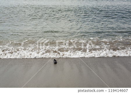 A shoe washed up on the shore A shoe washed up on the shore 119414607