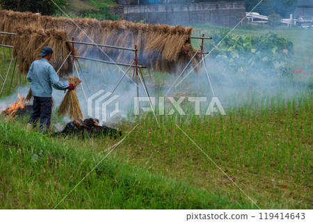 Early autumn scenery: Hyuga, the home of red spider lilies Early autumn scenery: Hyuga, the home of red spider lilies 119414643