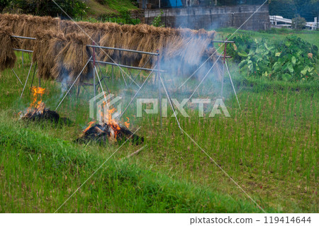 Early autumn scenery: Hyuga, the home of red spider lilies 119414644