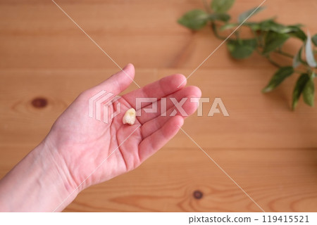 拔智齒 119415521