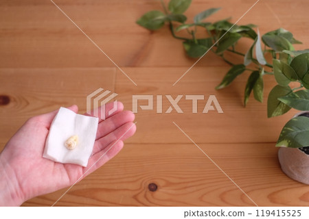 拔智齒 119415525