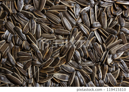 Non Salty Roasted Sunflower Seeds in Shell 119415810