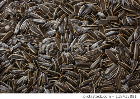 Non Salty Roasted Sunflower Seeds in Shell 119415881